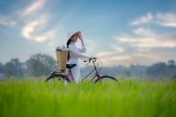 Beautiful Vietnamese woman wearing traditional dress with  flower basket walk pass rice field on...