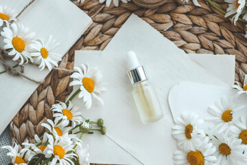 Composition with chamomile flowers and cosmetic bottle of essential oil on white background, top view
