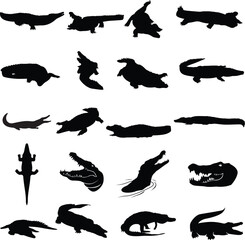Silhouettes of crocodile