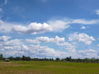 Obraz premium field and sky