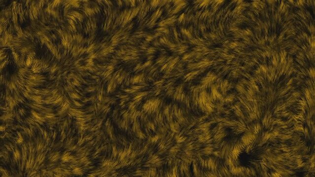 Abstract Colorful fur pattern animation