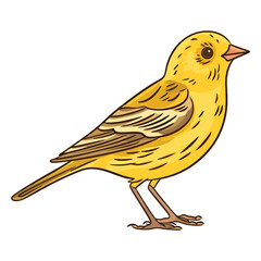 Curious Meadow Explorer: Enthralling 2D Illustration Showcasing a Cute Yellowhammer