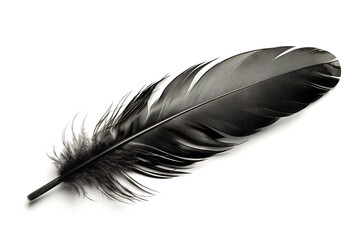 Image of black feather on white background. Illustration, Generative AI.