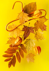 Autumn composition of dry leaves.