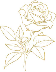 Rose Gold Glitter Flower Line Drawing Silhouette - obrazy, fototapety, plakaty