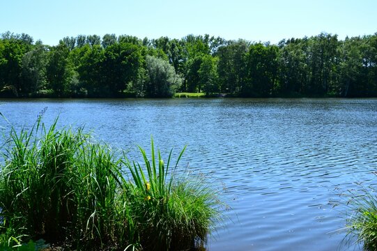 der Borner See, NRW