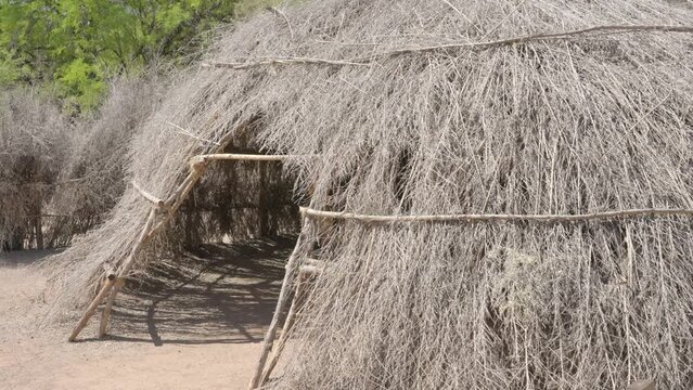 This video shows a side view of an ancient Native American manmade thatched wickiup hut.