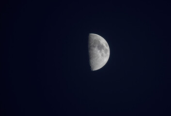 Mond