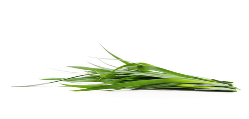 Bunch of green grass.