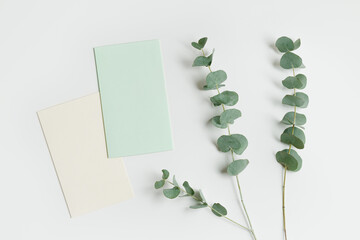 Greeting or invitation card mockup with eucalyptus branches. Close up Card with copy space in green...