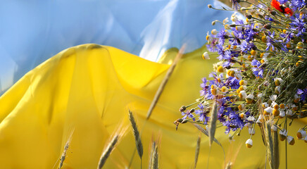 Bouquet of cornflowers, poppies and chamomile on the background flag of Ukraine is blue-yellow...