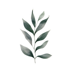 Watercolor of leaves isolated on transparent background