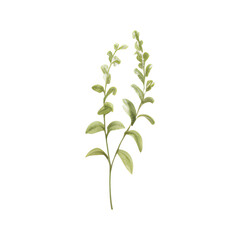 Naklejka premium Watercolor of leaves isolated on transparent background