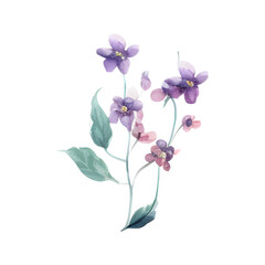 Naklejka na ściany i meble Watercolor of floral isolated on transparent background
