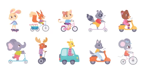 Stickers muraux Robot Cute baby animals ride transport set vector illustration. Cartoon driving funny animal characters collection, hedgehog giraffe fox wolf bunny squirrel elephant cat bear deer raccoon riding vehicles