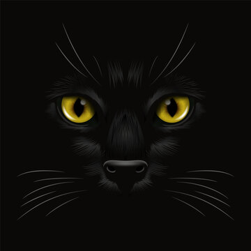 Vector 3d Realistic Yellow, Brown, Orange Cats Eye of a Black Cat in the Dark, at Night. Cat Face with Yes, Nose, Whiskers on Black. Cat Closeup Look in the Darkness. Front View