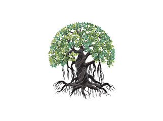 Banyan tree vector illustration. roots of banyan tree. 