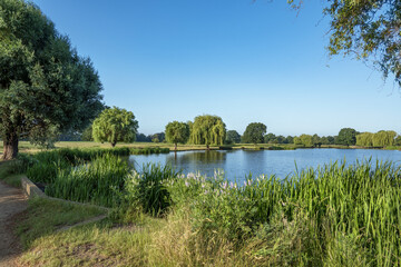 Fototapeta na wymiar Clear blue skies at Bushy Park Surrey