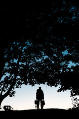 Silhouette of a man with bags