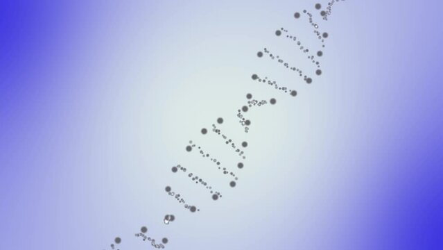 DNA Strand. human DNA structure animation. rotating DNA molecules in chromosomes.
