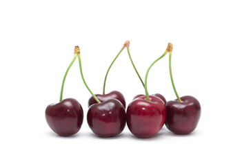 Fototapeta na wymiar Cherry isolated. Cherries on white background. Sour cherry on white.