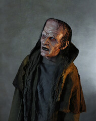 A Frankenstein's Monster 