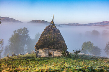 There are autumn trees in the photo. The sun shines brightly in front. A very foggy autumn morning in Romania.