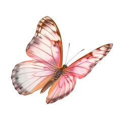 butterfly isolated on transparent background cutout © Papugrat