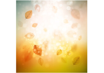 Fototapeta na wymiar Abstract autumn background with leaves bubbles and sun light, flare