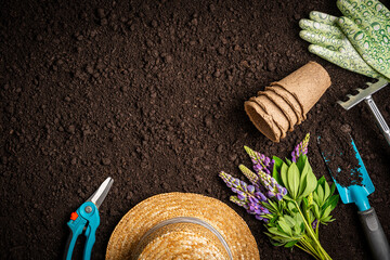 Garden tools and plants