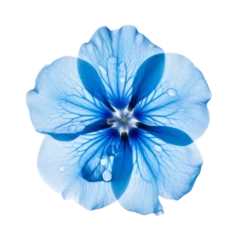 Papier Peint photo Photographie macro blue flower isolated on transparent background cutout