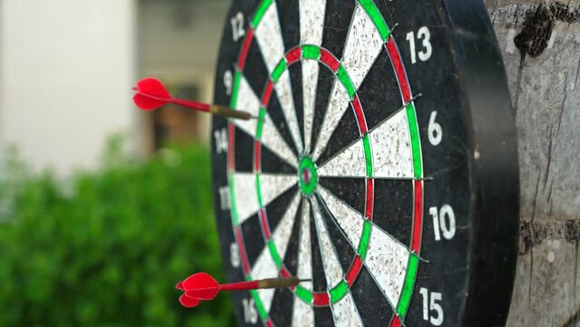 Close-up of red darts throw aim in the center on the tree. A target or blunder