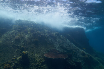Fototapeta na wymiar underwater view of the sea