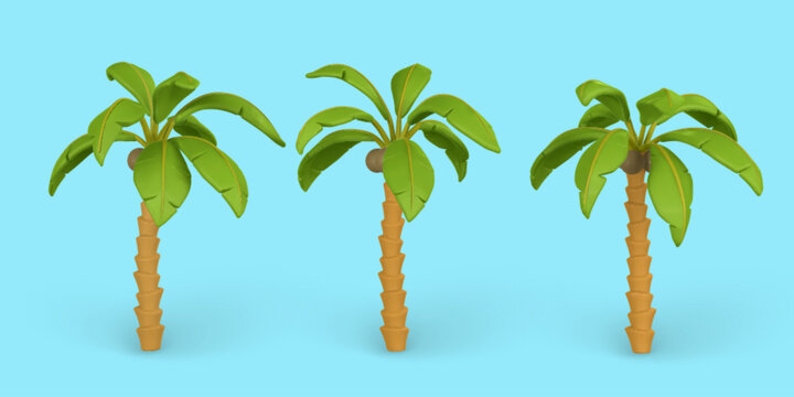 3D Cute cartoon tropical palm tree. Realistic jungle tree on blue background. Summertime object. Vector illustration