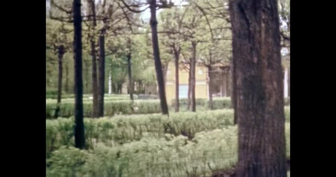 Green city park in summer, spring. Walk in nature. Close up, lush trees foliage on blue, close up. Beautiful natural landscape. Vintage color film. Old footage archive. Retro 1980s classic movie