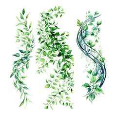 Green vine climbing plant with green leaf set, flat vector illustration isolated on white background. Green vines plant decorative © IMRON HAMSYAH