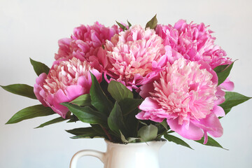bouquet of pink peonies in a white jug close-up. garden flowers.