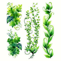 Green vine climbing plant with green leaf set, flat vector illustration isolated on white background. Green vines plant decorative