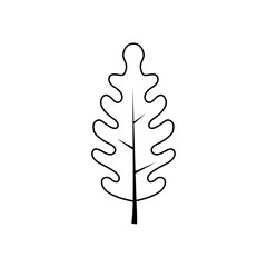 Outline tree leaf vector illustration isolated on transparent background