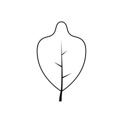 Outline tree leaf vector illustration isolated on transparent background