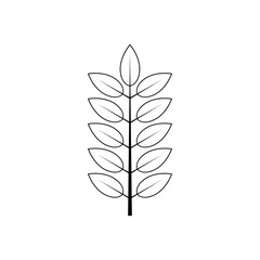 Outline tree leaf vector illustration isolated on transparent background