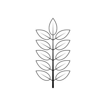 Outline tree leaf vector illustration isolated on transparent background