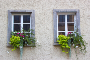 Fototapeta na wymiar wall with windows and flower boxes with flowering plants