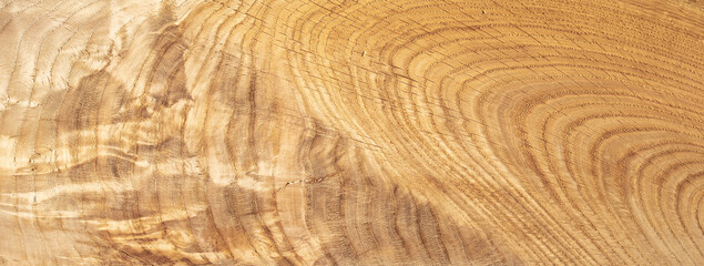 Bright wooden abstract background from oak slab