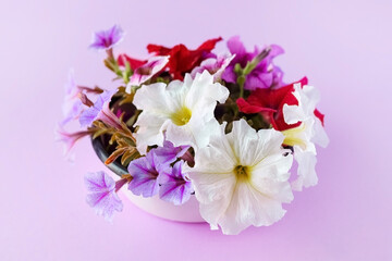 Summer bouquet of red, purple and white petunia flowers. Happy birthday, happy Women's Day, happy wedding