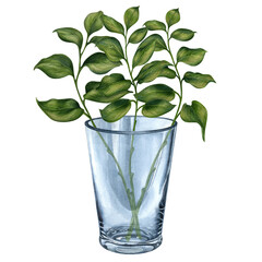 Watercolor hand drawn illustration of a glass vase and a bouquet of green leaves. Elements isolated on white background.