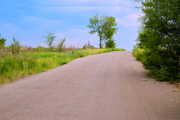 Road leads to the horizon through fields and trees