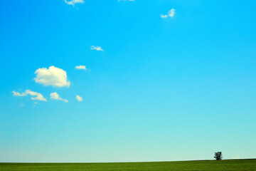 Obraz na płótnie Canvas Clouds in blue sky over green field Landscape for background