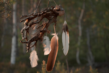Dreamcatcher in the forest. Hand made decorative ornament made of tree root and feathers
