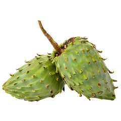 Soursop isolated on white